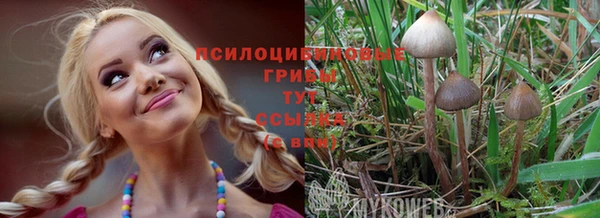 соль курить ск Арсеньев
