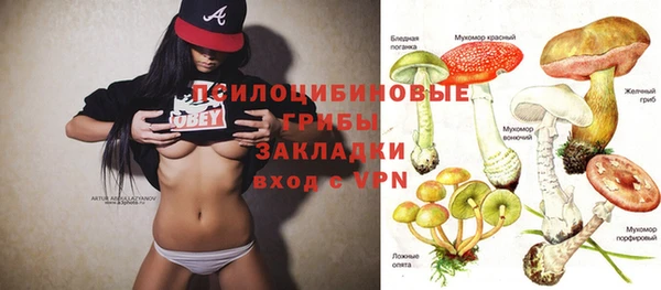 соль курить ск Арсеньев